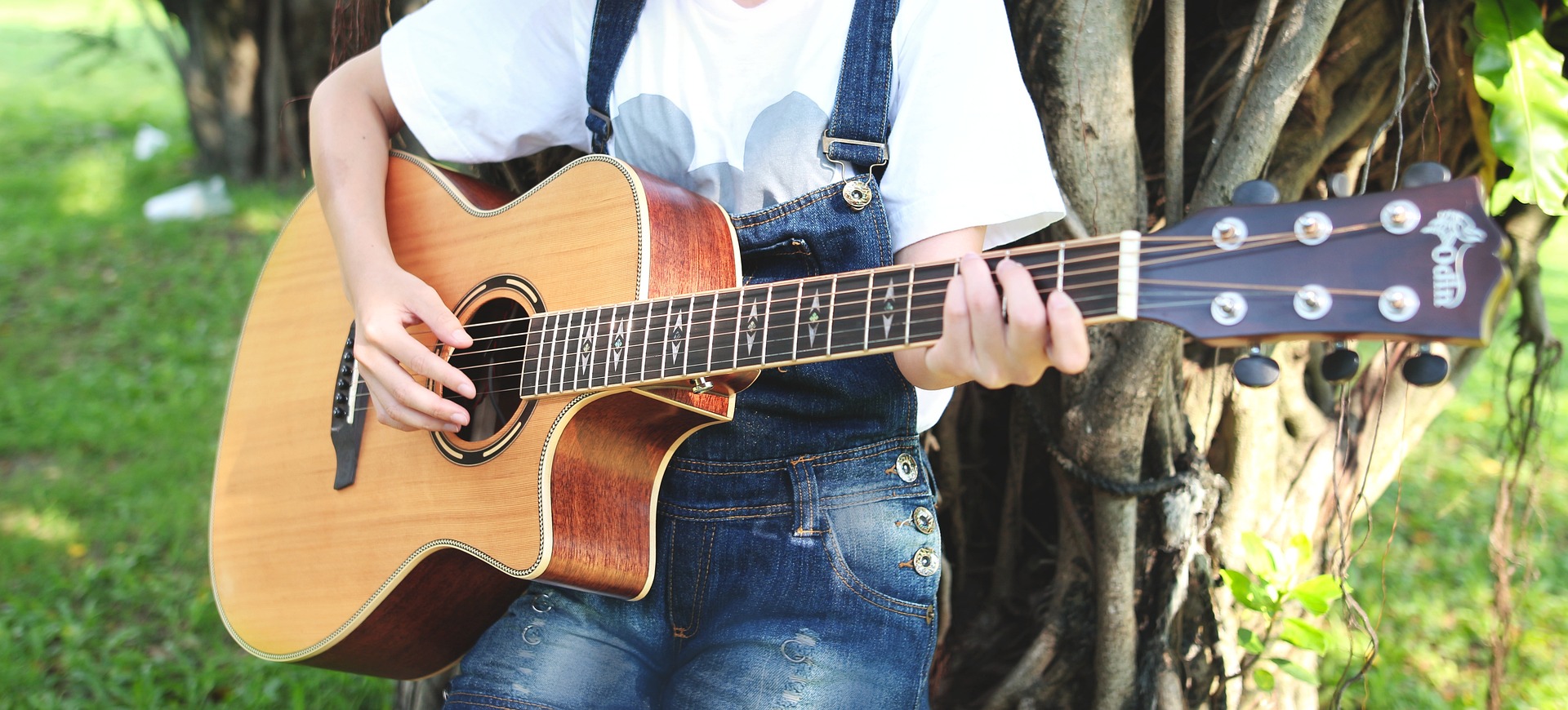 guitar-g90d8f32c4_1920 guitar-g90d8f32c4_1920